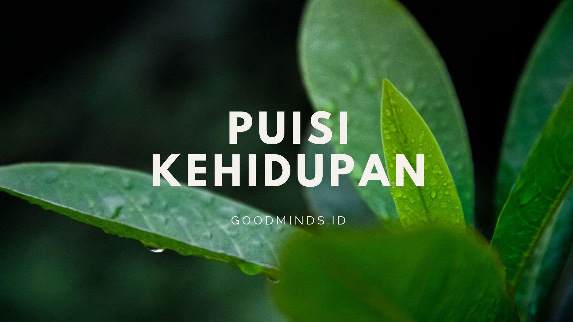 7 Puisi Kehidupan Yang Sarat Akan Makna GOODMINDS ID