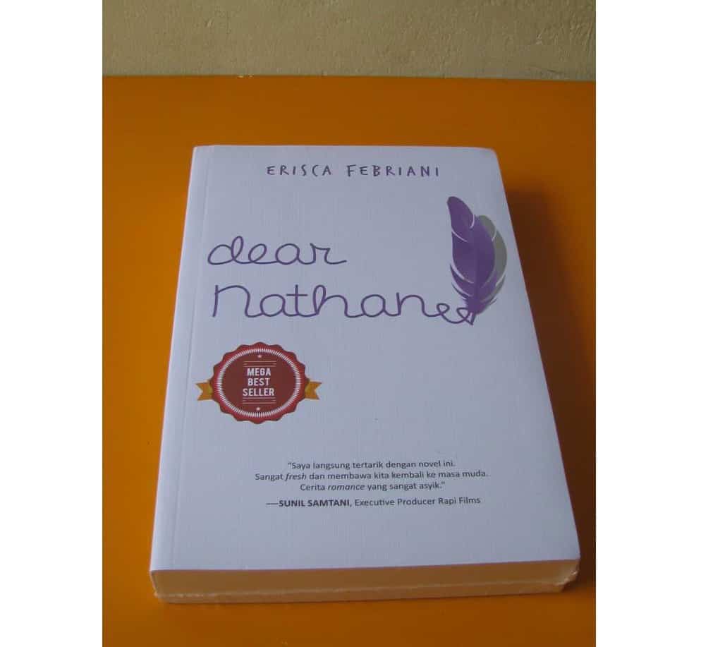 Sinopsis Dan Resensi Novel Dear Nathan | GOODMINDS.ID