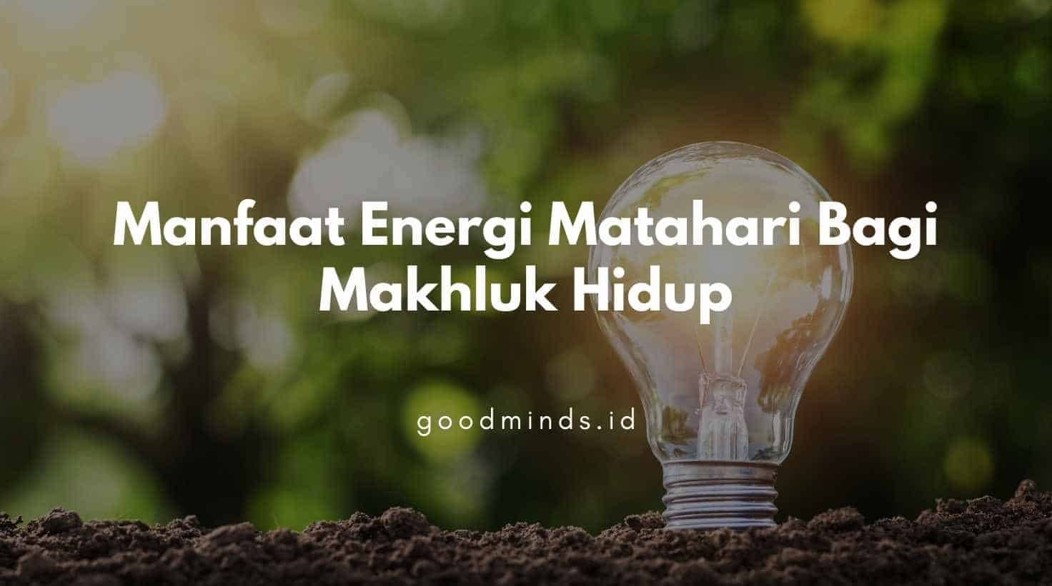 11 Manfaat Energi Matahari Bagi Makhluk Hidup Goodminds Id