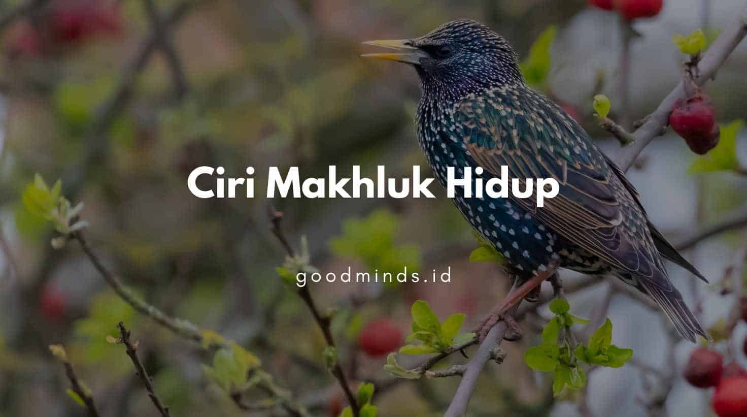 Ciri Ciri Makhluk Hidup Dan Penjelasannya Goodminds Id