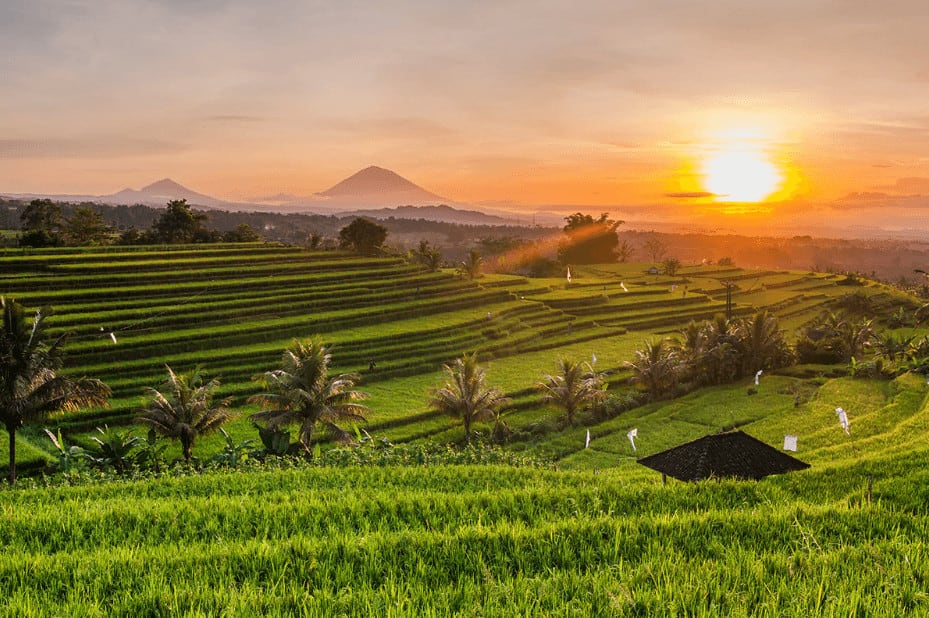 Mau Liburan Ke Bali Kunjungi Tempat Wisata Di Bali Yang Paling Populer Ini Goodminds Id