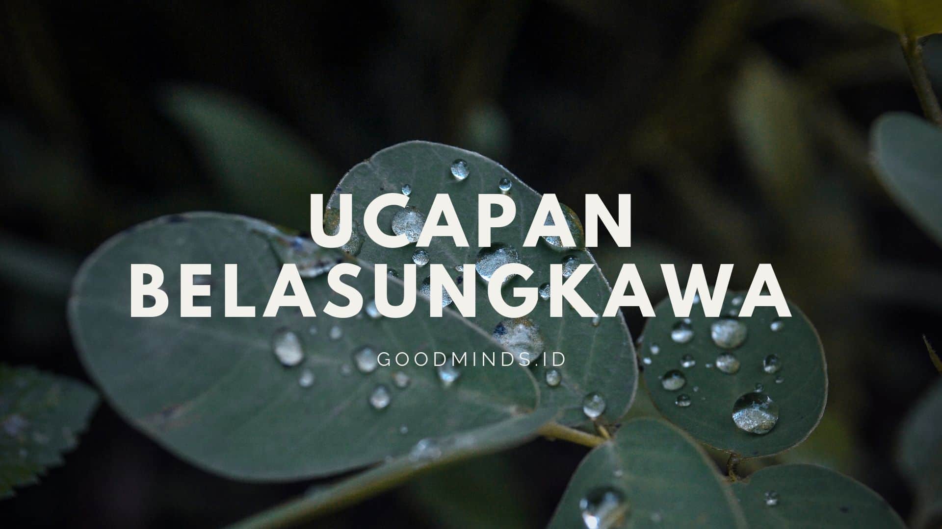 10 Ucapan Belasungkawa Ungkapan Turut Berduka Cita | GOODMINDS.ID